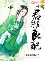最强弃夫