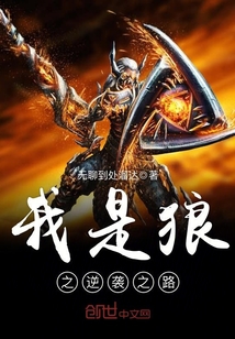 你是我的璀璨华光