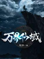 我有个流量系统